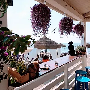 Purple Italy , Fiumicino Itália